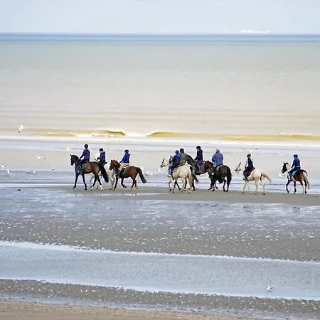 Lichtrijk Hoekappartement Met 3 Slaapkamers Op Wandelafstand En Winkels * Koksijde