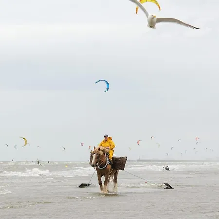 Lichtrijk Hoekappartement Met 3 Slaapkamers Op Wandelafstand En Winkels Apartment